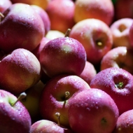 7 health benefits of apples